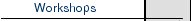 Workshops